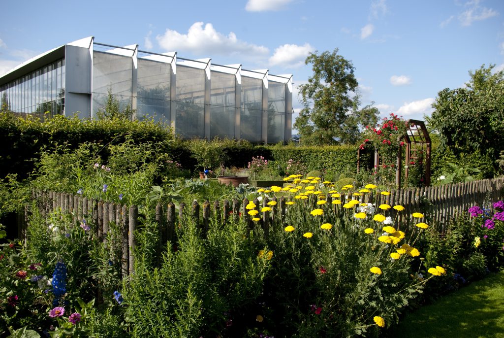 Ein neues Sukkulentenhaus für den Botanischen Garten?