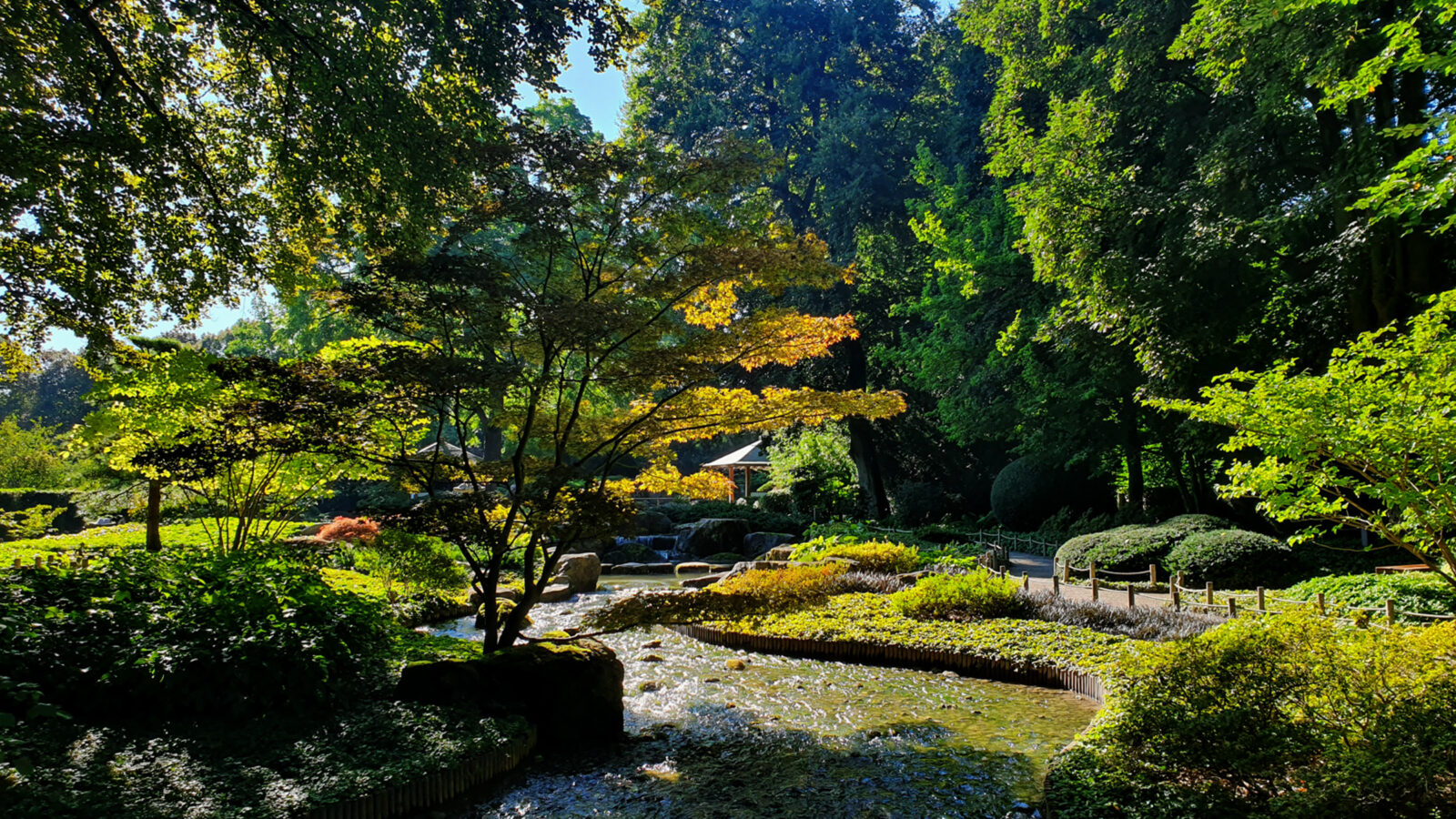 Der Japanische Garten: Das Juwel im Botanischen Garten